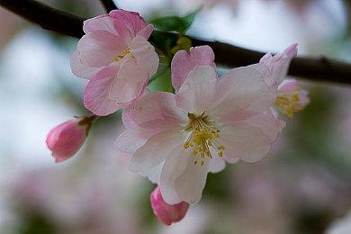 《漫威蜘蛛侠：重制版》多人游戏MOD正在开发中